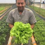 Vale ressaltar, que o projeto da horta do Hospital Materno Infantil Santa Catarina é 100% orgânica e forma um ciclo com uma série de benefícios para nós e o meio ambiente. A compostagem favorece o descarte sustentável, o que diminui a quantidade de lixo encaminhada para os aterros e reduz o custo de coleta e transporte